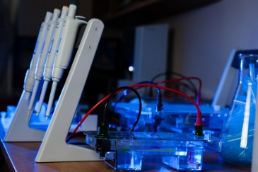 The role of electrodes